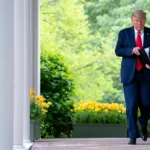 Donald Trump Images | Free Photos, PNG Stickers, Wallpapers & Backgrounds - rawpixel